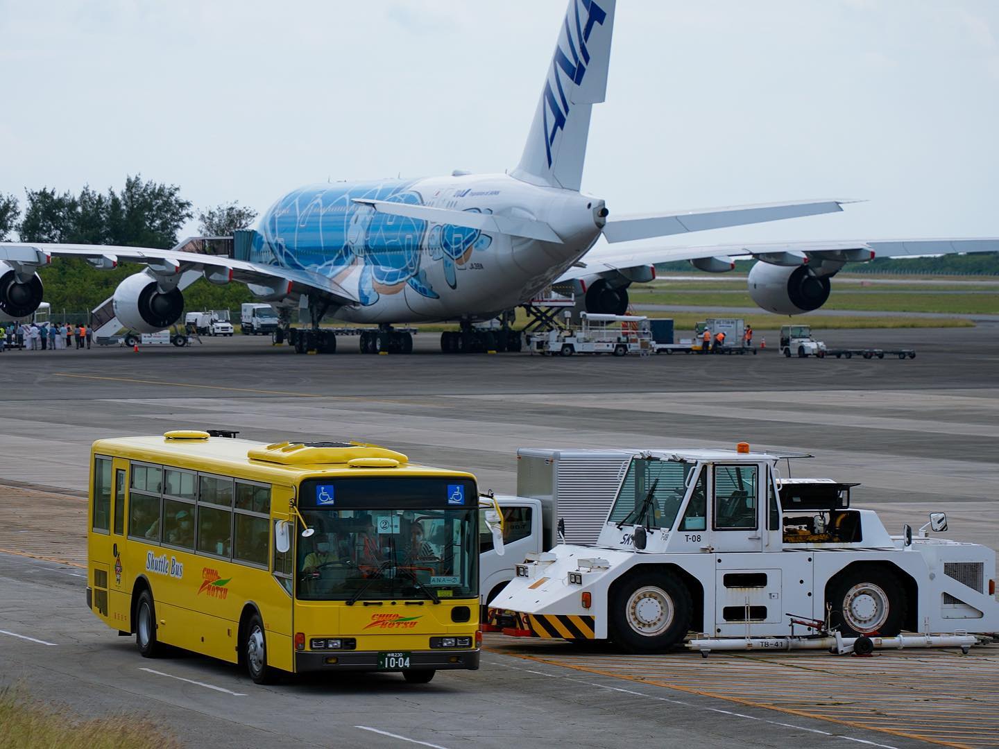 下地島空港🛬
弊社ではA380フライングホヌの駐機場⇄ターミナル間のランプバスを運行させて頂きました🚌
弊社としても空港内の運行は初‼️
ご依頼頂けたことに感謝申し上げます🙇‍♂️

#宮古島 #下地島 #下地島空港 #ANA #A380 #フライングホヌ #ランプバス #沖縄 #宮古島旅行
