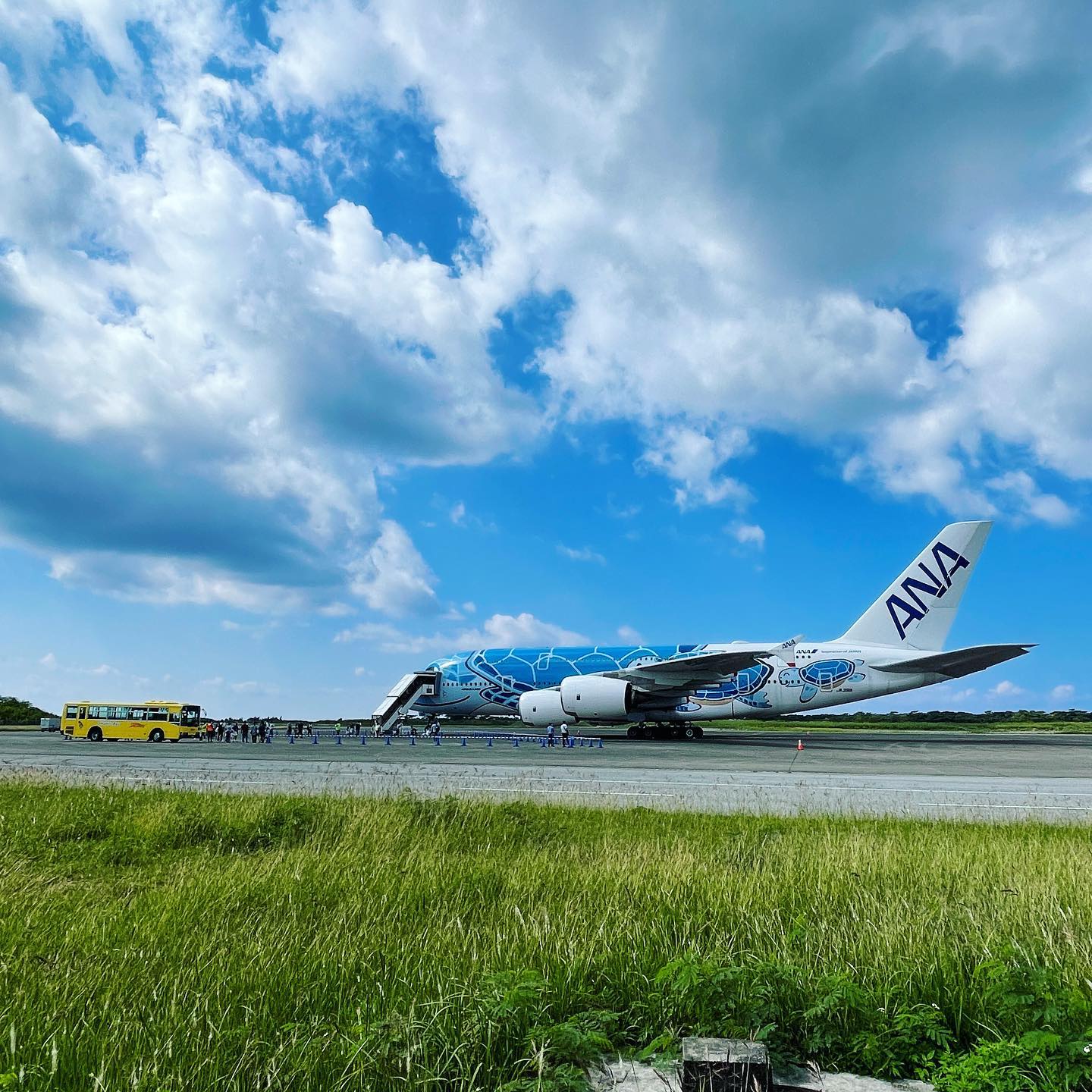 本日もランプバスとして下地島空港内で活躍中🚌
A380フライングホヌ機内見学ツアーのお客様を送迎しております😊

#宮古島 #下地島 #下地島空港 #ANA #A380 #フライングホヌ #ランプバス #沖縄 #宮古島旅行